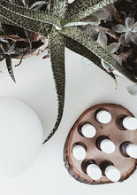 Load image into Gallery viewer, Walnut Essential Oil Wood Slice Organizer