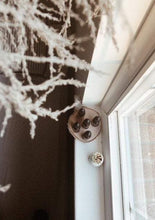 Load image into Gallery viewer, Birch Essential Oil Wood Slice Organizer