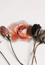 Load image into Gallery viewer, Floral Vinyl Sticker Series (set of 5)