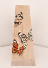 Load image into Gallery viewer, 3-D Butterfly Shelf with Gold Detail