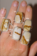 Load image into Gallery viewer, WAO Fall Ring Collection