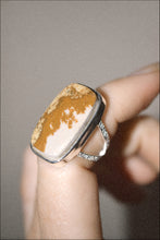 Load image into Gallery viewer, WAO Fall Ring Collection